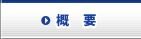 概要